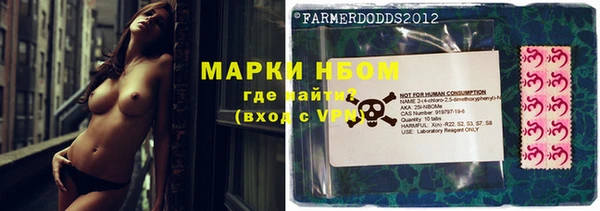 ГАЛЛЮЦИНОГЕННЫЕ ГРИБЫ Арсеньев
