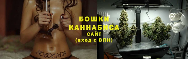 молекула духа Ростов
