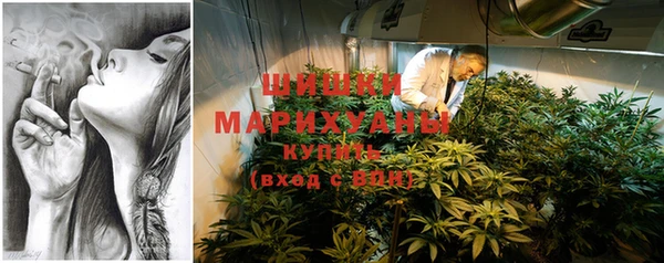ГАЛЛЮЦИНОГЕННЫЕ ГРИБЫ Арсеньев