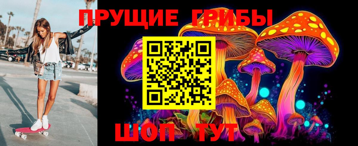Можга  где можно купить наркотик  Вход с VPN  Галлюциногенные грибы Psilocybe  Псилоцибиновые грибы ЛСД 